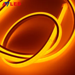 Low Power Consumption Curved 24 Watts 10x18 MM Diffuse Silicone Tube Light LED Neon Strips