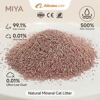 Litière pour chat en bentonite à base de sodium de haute qualité, faible teneur en poussière, anti-odeur, litière minérale pour chat, vente en gros, logo personnalisé OEM, échantillon gratuit