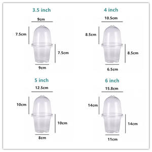 Pot de semis en plastique dur PET épaissi de 3,5/4/5/6 pouces, écologique, avec valve de respiration réglable, dôme pour jardin d'intérieur - Product Image 6