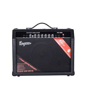 Altavoz para Guitarra Eléctrica con Conector USB, Amplificador de 40 Vatios, Altavoz Eléctrico para Guitarra - Product Image 1