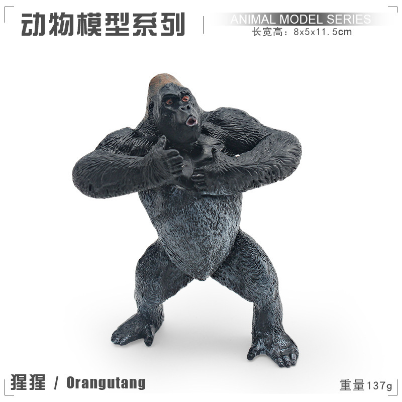 Pl127-1702 orangutan 137g