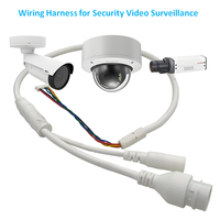 Arnés de Cableado Aislado de PVC Blanco Personalizado al por Mayor del Fabricante con Accesorio RJ45 para Cámara IP CCTV
