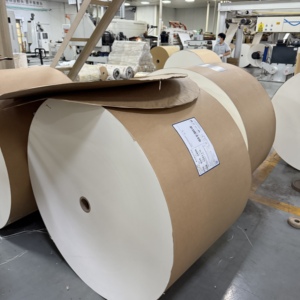 Rouleau de papier enduit de PE à base de pâte de bois, matière première résistante à l'humidité pour la fabrication de gobelets en papier - Product Image 5
