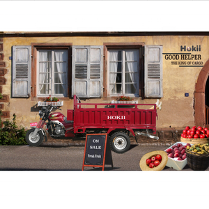 Tricycle cargo nigérian à essence T-rex, moto à trois roues, <span class=keywords><strong>transport</strong></span>, moto à trois roues - Product Image 2