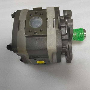 Pompe à engrenages interne série IPV5 IPVP6 IPVP7 IPVP 7/-125/111 IPV5/-64171 Pompes hydrauliques Construction en fonte de haute qualité Durable - Product Image 5