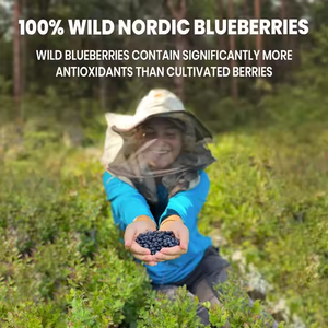 Хит продаж, порошок из экстракта черники - Product Image 6