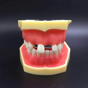 학생들이 연습 모델을 심는 치과 훈련 연습 시뮬레이션 모델 - Product Image 2