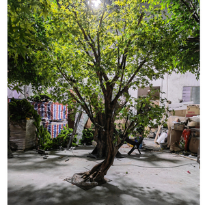 Grand tronc en fibre de verre vert, arbre artificiel de 4M, <span class=keywords><strong>olivier</strong></span> artificiel pour la décoration - Product Image 5