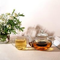 Théière en verre transparent résistant à la chaleur en borosilicate de grande capacité au design moderne avec infuseur amovible