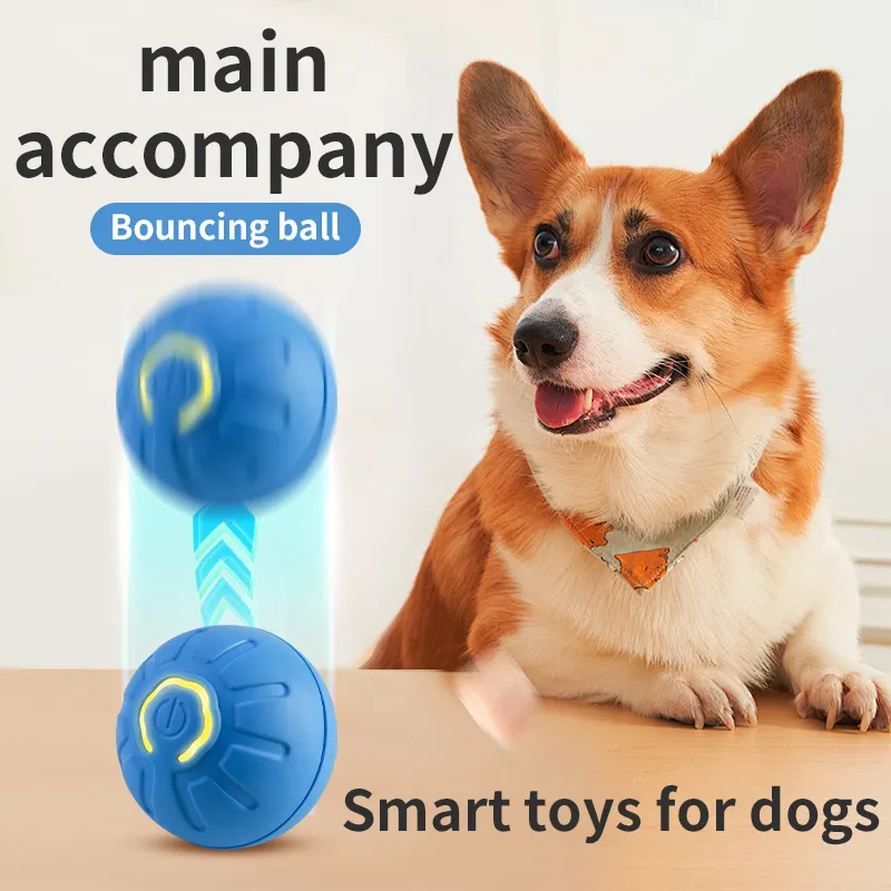 犬と猫のための卸売重力電気アミューズメントペットボールスマートバウンスボール