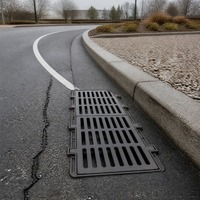 Grille de couverture en fonte ductile à fentes longues robuste pour système de drainage urbain