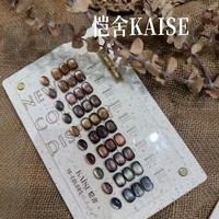 Nouvelle sortie SheXiaKaiShe, ensemble de vernis à ongles en gel brun œil-de-chat en bois de santal, 10 couleurs, mini kit pour salons de manucure