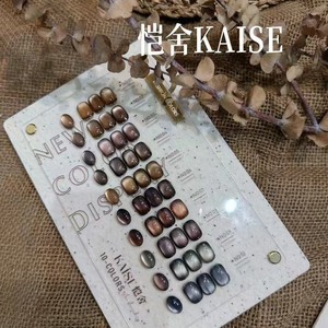 Nouvelle sortie SheXiaKaiShe, ensemble de vernis à ongles en gel brun œil-de-chat en bois de santal, 10 couleurs, mini kit pour salons de manucure - Product Image 4