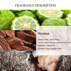 Huile de <span class=keywords><strong>parfum</strong></span> <span class=keywords><strong>Himalaya</strong></span> UNIQUE AROMA, huile de <span class=keywords><strong>parfum</strong></span> de créateur non diluée pour hommes, <span class=keywords><strong>parfum</strong></span> longue durée à base d'huile, vente en gros OEM - Product Image 2