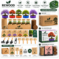 Kit Pohon Bonsai DIY Kerajinan Berkebun Dalam Ruangan untuk Kit Pemula Lengkap 22-Potong dengan 5 Varietas Benih Bonsai Jepang