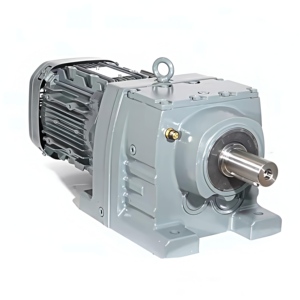 Réducteur hélicoïdal à montage sur pied série R avec rapport 20:1 et arbre creux pour machines industrielles (ODM disponible) - Product Image 2