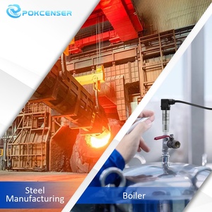 PWP330-HT <span class=keywords><strong>150C</strong></span> 250C 증기 공기압 측정용 고온 압력 센서 - Product Image 4