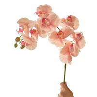 Bunga Anggrek Phalaenopsis Buatan dari Sutra untuk Dekorasi Acara, Simulasi Realistis Kelas Atas, Gaya Eropa-Korea
