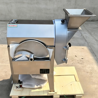 Fabrieksleverancier van groentesnijders en -dubbele snijmachines voor aardappelen, uien, wortelen, zoete aardappelen, knoflook en het maken van blokjes.