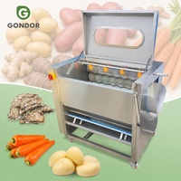 Machine de lavage et de nettoyage à bulles pour fruits et légumes, mini, à brosse rotative, pour manioc, tomates, dattes, pour petite échelle