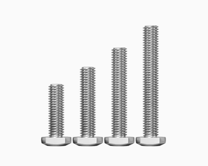 Boulons en T en acier inoxydable SS304 SS316 M6 M8 M12 M14 Passication DIN186 DIN188 - Product Image 3