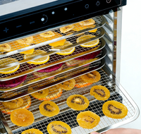 Kleine roestvrijstalen elektrische voedseldroger voor gebruik in drankenfabrieken, geschikt voor fruit, groenten en vlees.