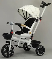 Fabricant de poussettes pour enfants, tricycles pour enfants, poussettes pour bébés, vélos à trois roues pour sports de plein air