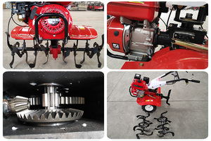 Aratri Voltorechio Arados Manuales Motorizados <span class=keywords><strong>de</strong></span> Discos Usados Tractor Pequeño Surcador - Product Image 6