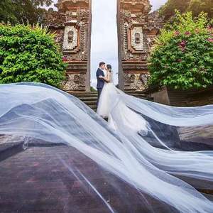 Tela de malla blanca vestido de novia arco al aire libre cumpleaños Homestay estilo con velo elegante boda cortina decoración propuesta - Product Image 5