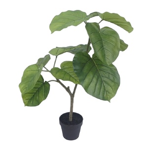 13 Leaf 70cm Real Touch Ficus Umbellata Indoor Artificial Bonsai Plants Trees With Plastic Pot