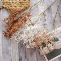 Herbe de la Pampa Artificielle Moelleuse pour Décoration d'Arche de Mariage Rustique, Bouquet de Corail Séché pour Centre de Table d'Automne