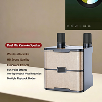 Enceinte Karaoké Portable en Gros avec Micro Sans Fil, Enceinte Karaoké de Fête Sans Fil, Enceinte Karaoké avec Micro et Bluetooth 858