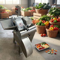 Commerciële automatische diepvriesvlees-snijmachine voor het snijden van vlees, fruit, groenten en aardappelen in blokjes