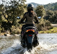 Vente directe d'usine, moto électrique à deux roues, batterie au plomb-acide ou au lithium, 3000W, longue durée de vie de la batterie, sièges spacieux, économie d'énergie