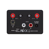 Module sans fil 5.3, système de mixage DSP BRU5 stéréo haute puissance 2.0, amplificateur de puissance sans fil TPA3244 2x100W