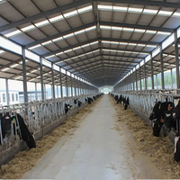 Structure en acier préfabriquée antirouille pour bâtiment d'élevage de vaches laitières en zone côtière
