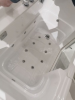 Baignoire de plain-pied avec jets/hydro massage Baignoire/lavage pour animaux domestiques Self Service
