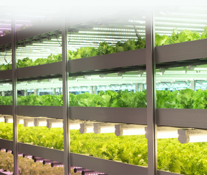 ANDY Daisy Chain 40/50 pezzi 3FT 4FT 18W 25W 9000K 6500K 460nm 660nm T8 Clone <span class=keywords><strong>LED</strong></span> coltiva tubo di luce - Product Image 6