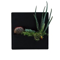 Pot de jardinières mural décoratif pour décoration moderne