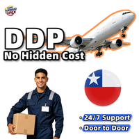 Servicio de Logística de Transporte Marítimo DDP, Agente de Transporte, Servicio de Almacenamiento, Inspección, Despacho de Aduanas a Chile