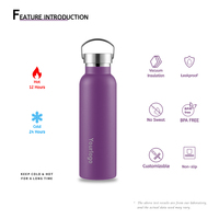 Bouteilles d'eau isothermes portables haut de gamme en acier inoxydable pour adultes, avec couvercle en acier inoxydable, anti-fuite et sans BPA, idéales pour le sport et la gym