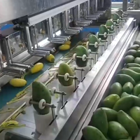 Fruit Schilmachine Mango Pompoen Watermeloen Taro Papaya Grapefruit Schilmachine Mango Schilmachine