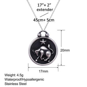 Collana di 12 <span class=keywords><strong>segni</strong></span> <span class=keywords><strong>zodiacali</strong></span> in acciaio inox ciondolo elegante ciondolo di moda gioielli regalo catene lunghe collane all'ingrosso - Product Image 6