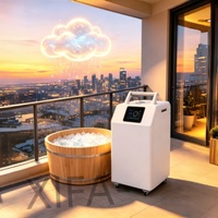 Baignoire à glace en acier inoxydable avec refroidisseur, ozone et contrôle Wi-Fi pour bain froid extérieur