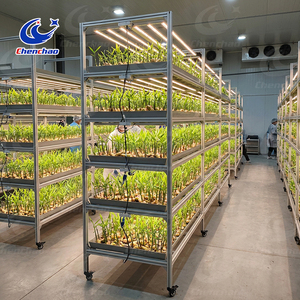 Commercial Grade Automated Ebb and Flow System with Vertical Multi-layer Design for Large Scale Greenhouse System <strong>Plan</strong> <strong>Pro</strong> - Product Image 4
