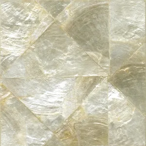 Luxury Handmade Mother of Pearl Nature Shell Wallpaper/Wallcovering for Living Room Decor