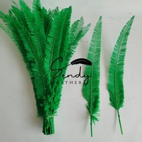 Plumes d'autruche Nandu en gros de 50-55 cm/20-22 pouces pour sacs à dos de carnaval, accessoires de costume et de coiffure