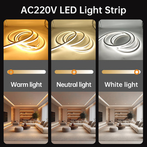 Tubes néon en PVC <span class=keywords><strong>flexible</strong></span> et silicone 6*12mm 5M 50M Rouleau 12/24/110/240V 1cm 2.5cm IP65 IP67 Lumières néon LED pour enseigne lumineuse LED - Product Image 3