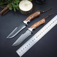 Couteau à lame fixe en acier Damas VG10 de qualité supérieure, manche en bois de rose fait main, couteau de camping en plein air, couteau de chasse pour collection