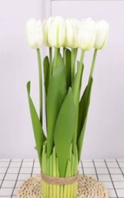 เขียว ขาว